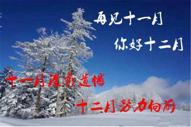 11月再見 ，12月你好——貝朗全自動鋼絲機